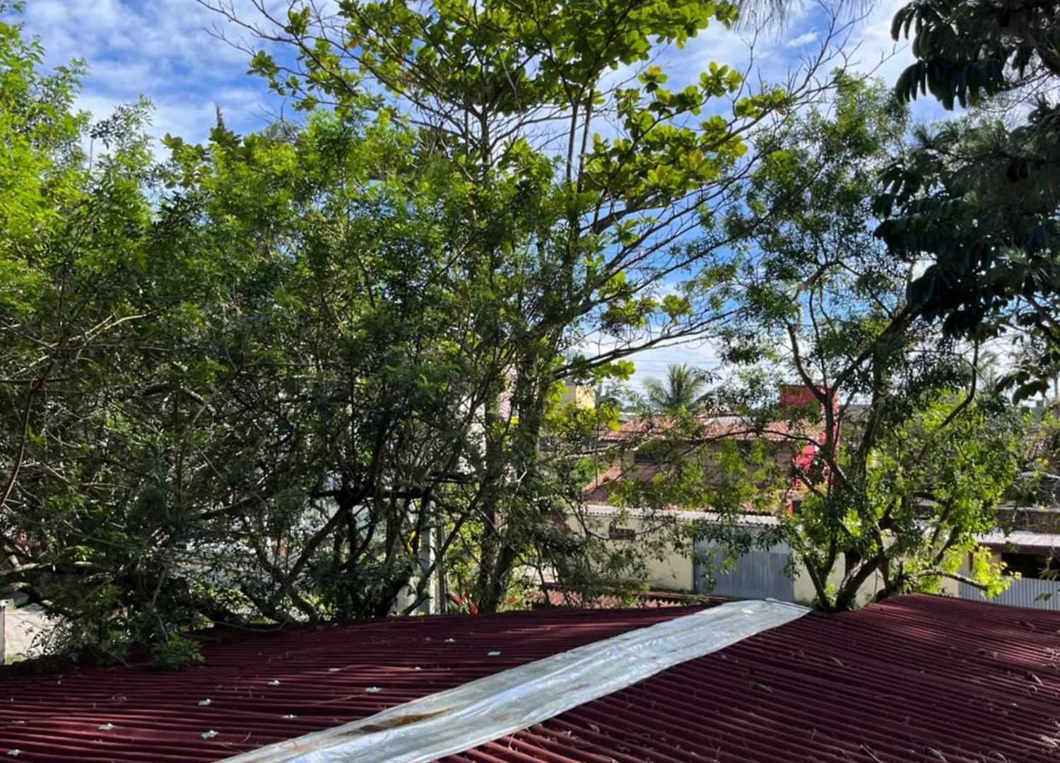 Lejlighed Espaco Com Apartamentos Rusticos Em Terreno Arborizado, Vaga De Garagem, Ar Condicionado, Wifi Florianópolis